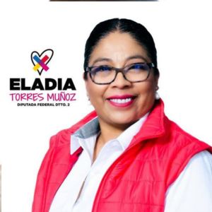 Eladia Torres MuÑoz Candidata A Diputados Federales Mayoria Relativa ...