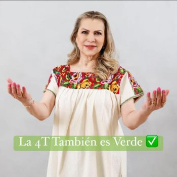 Maria Del Carmen Vargas Candidata A Diputados Federales Mayoria