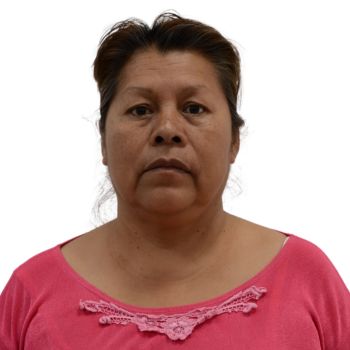 Vicenta Huerta Martinez Candidato A Diputados Locales Mayoria Relativa